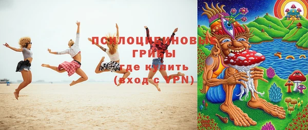 прущий лед Алексин