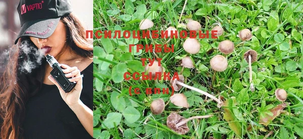 кокс Липки