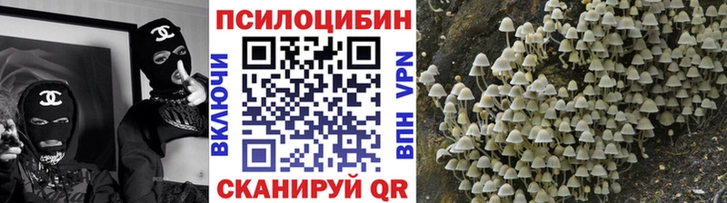 Галлюциногенные грибы мухоморы  Дятьково 