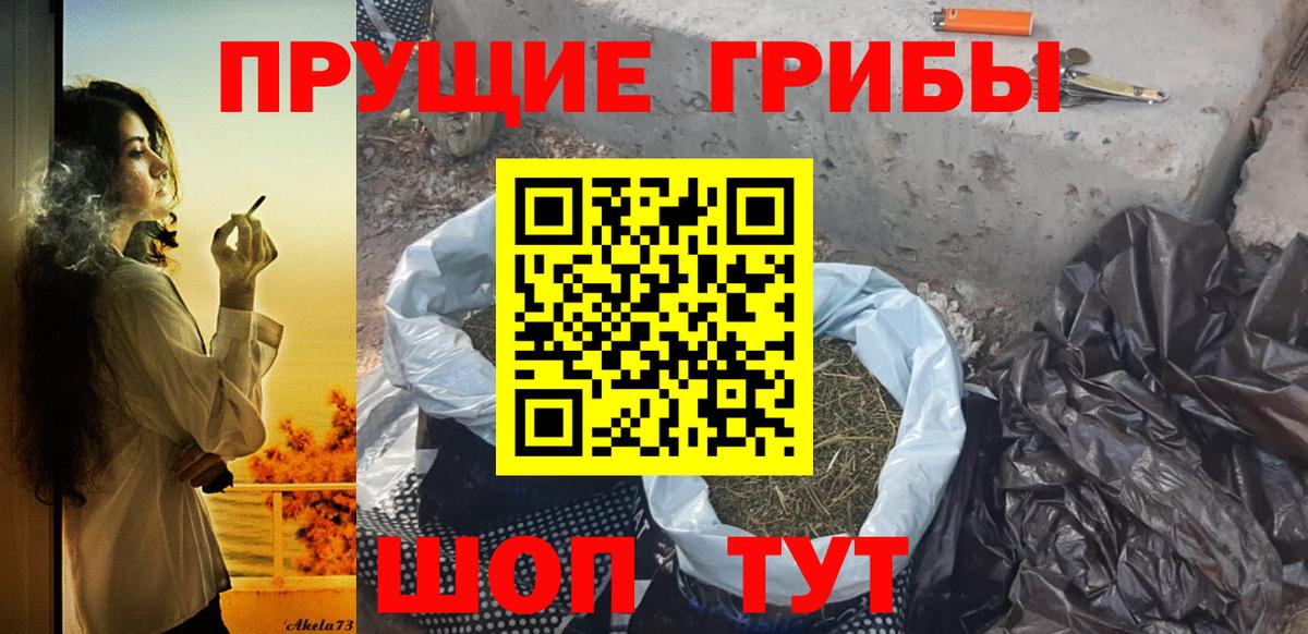 Псилоцибиновые грибы MAGIC MUSHROOMS Дятьково